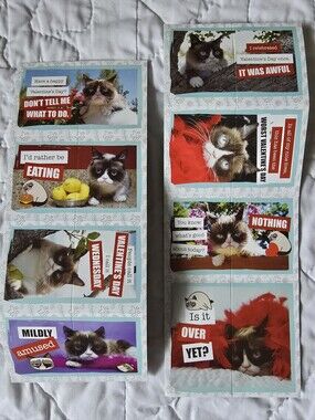 2/$20 🍀 26x Grumpy Cat Happy Valentine's Day Cut Out Cards